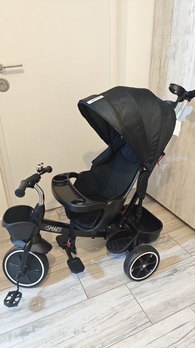 Tricicleta Smart Chipolino, pana la 25 kg, sezut reversibil