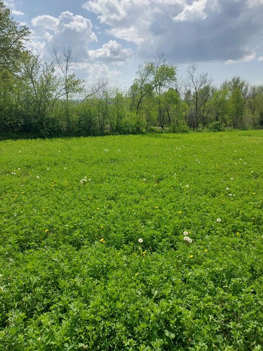 vand teren casă ,investiție în mediul rural