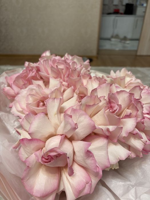 Цветы французские розы