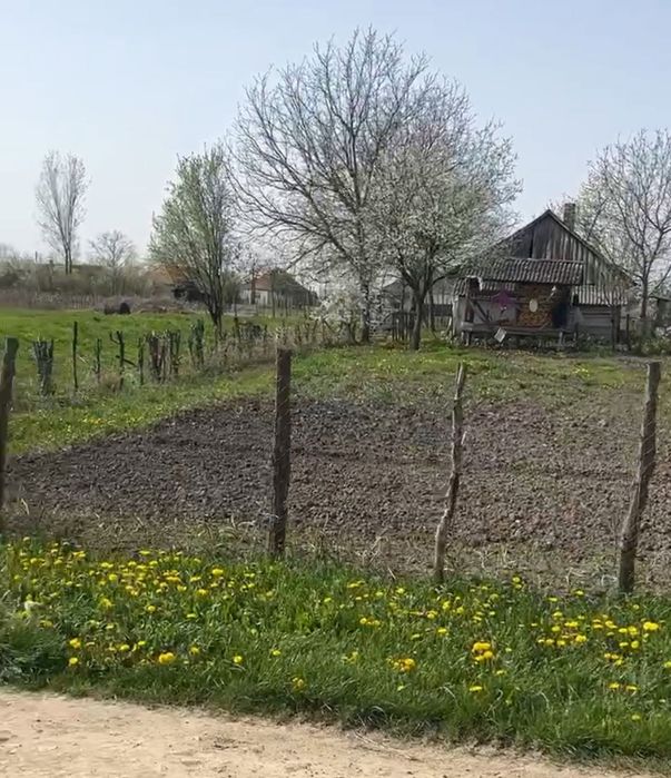 Vând teren intravilan în Paulian