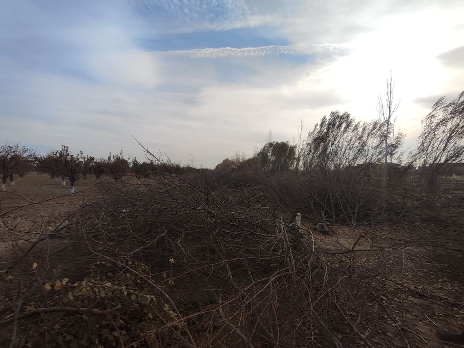 Ōtin sotiladi kelishilgan narxda