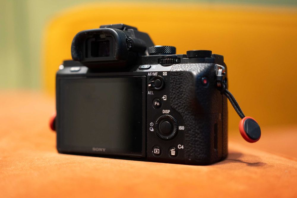 Sony a7II + Sony 50mm 1.8