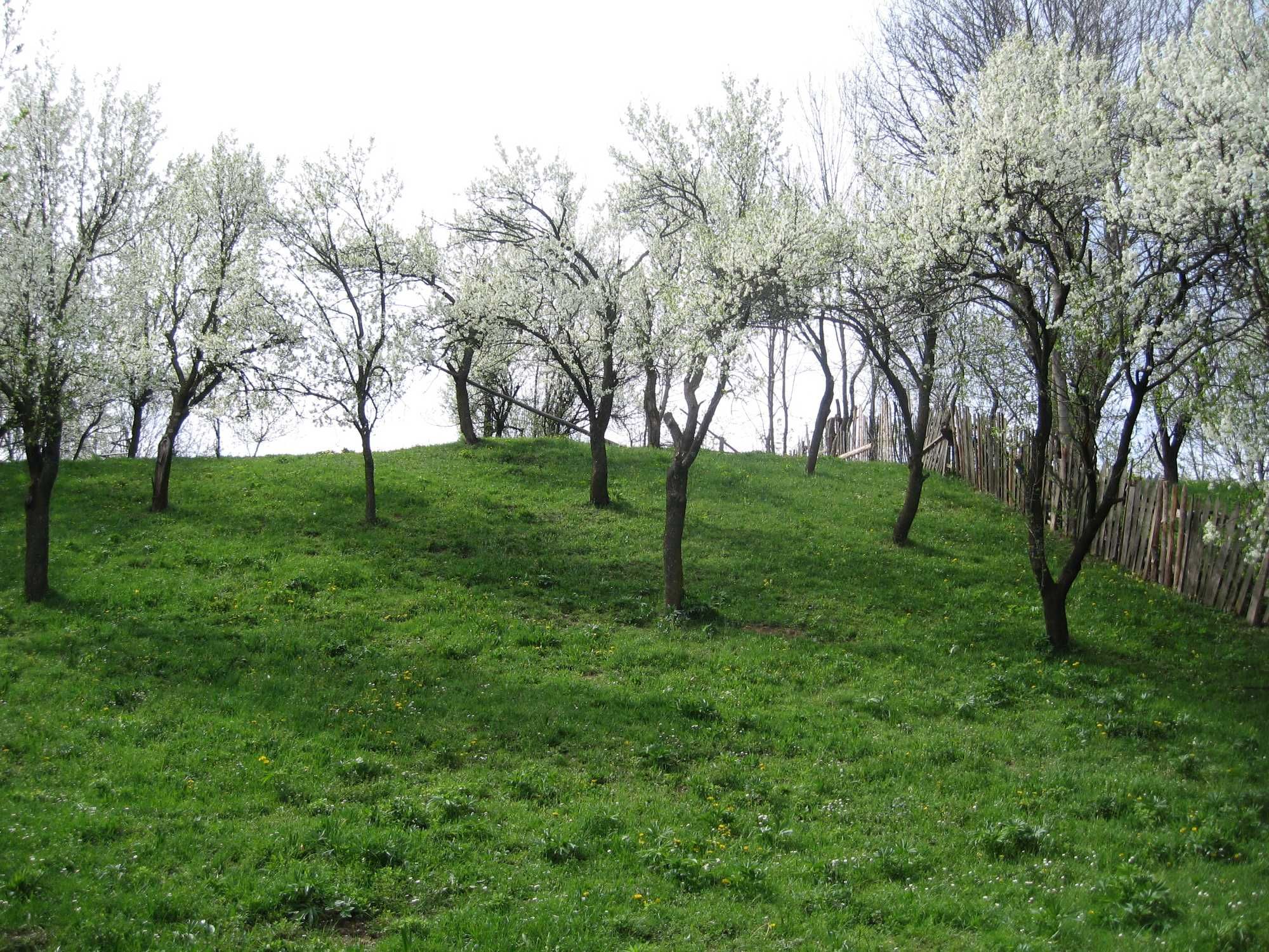 Teren Valea Doftanei - Trăisteni
