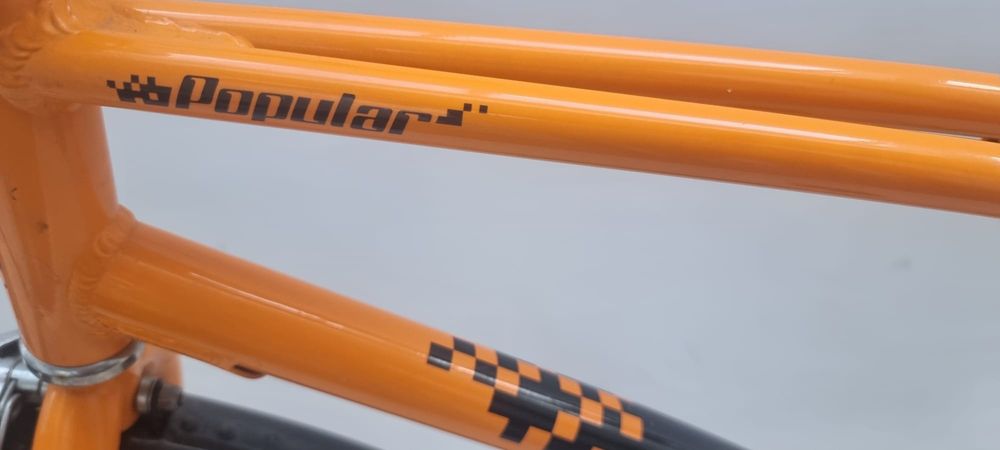 Bicicleta adulți Pegas