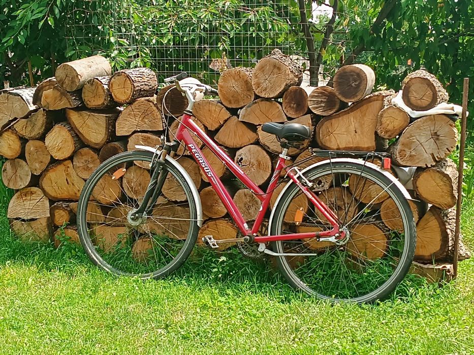 Bicicleta de dama Pegasus