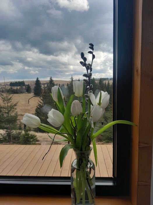 Natura Tiny House Marisel