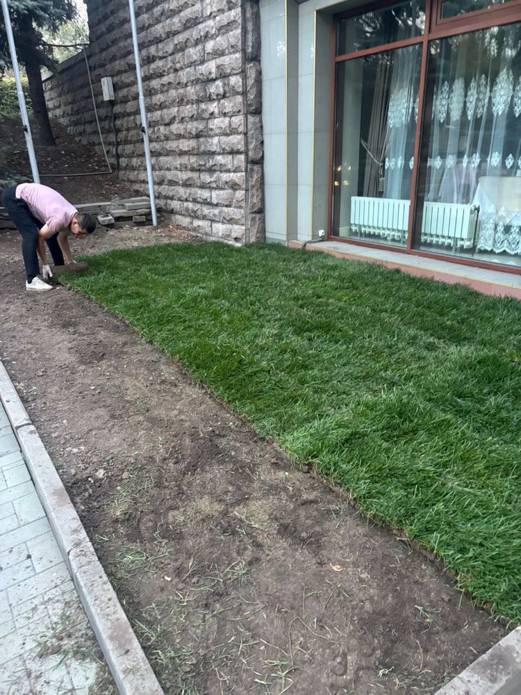 Живой Газон ДОСТАВКА ПО РК густой от питомника ЦЕНА ХОРОШАЯ