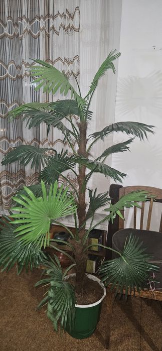 Изкуствена палма