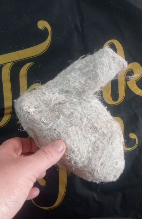 Куркултайдын уясы 80 түрлі ауруларға емдік қасиеті бар