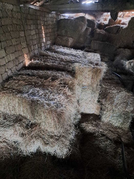 Бали сено 5 лв ..