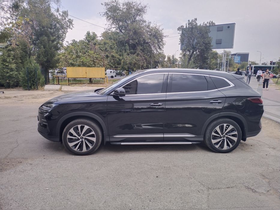 Byd song plus champion 2024