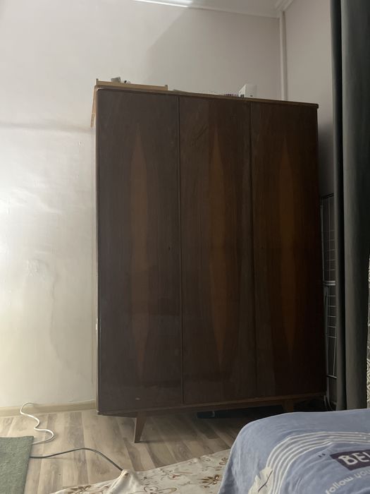 шефанер kiyimlar uchun