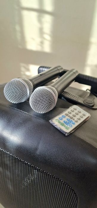 Караоке тонколона PS15-2U LED AntX