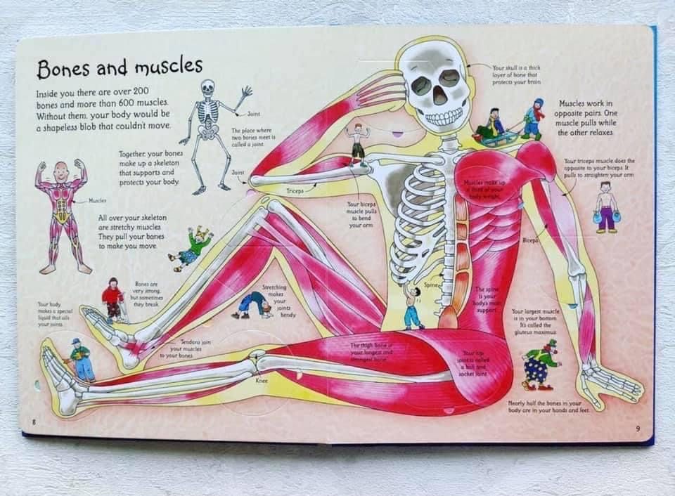 See inside your body - Usborne