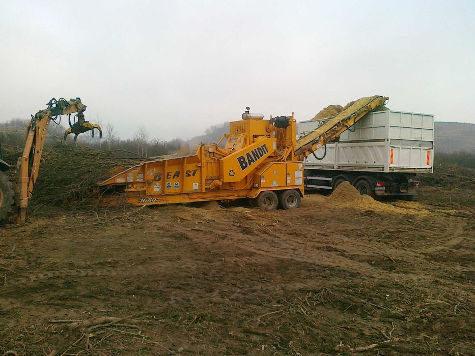 Defrisare curatare igienizare teren terenuri neingrijite.