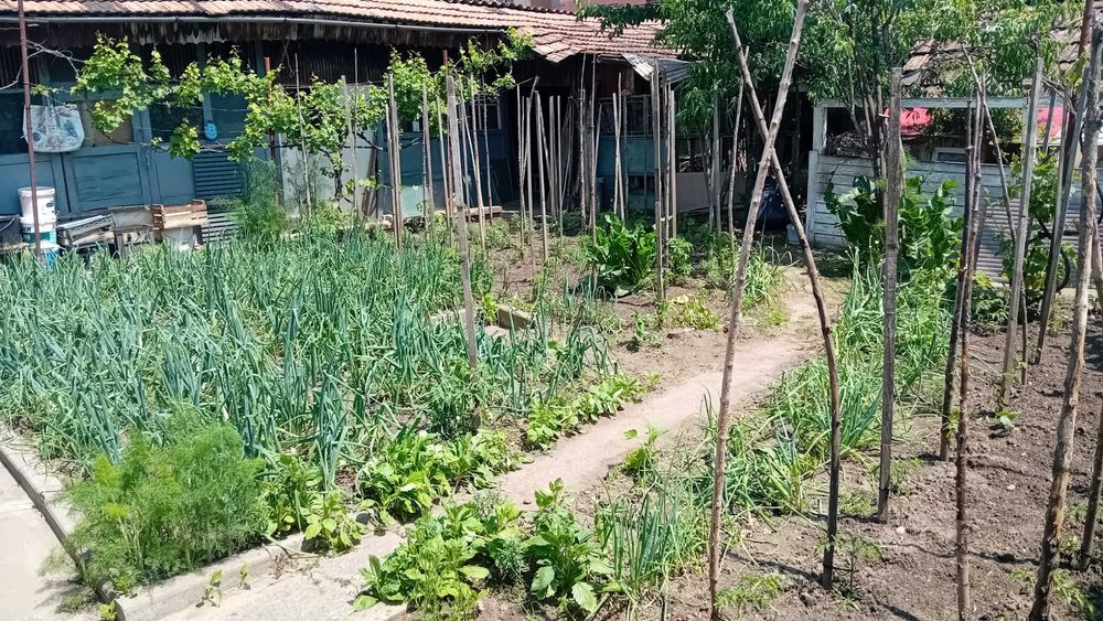 Vanzare casa in Blaj, Str. Clujului