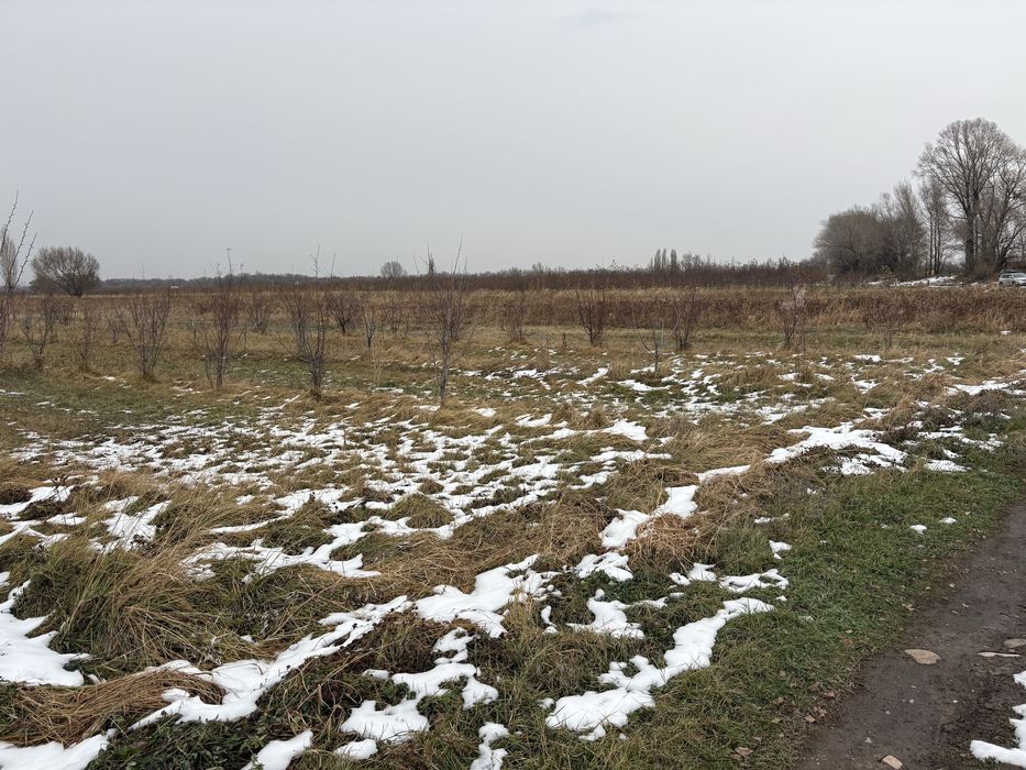 Продаётся 4,6 га земли (КХ)