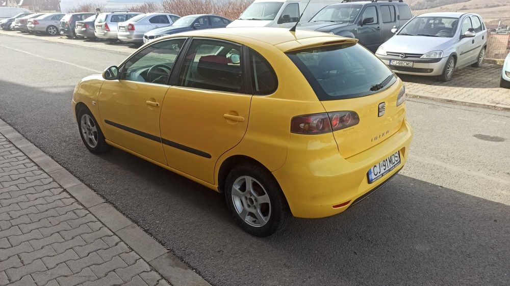 Vind Seat Ibiza, 2007