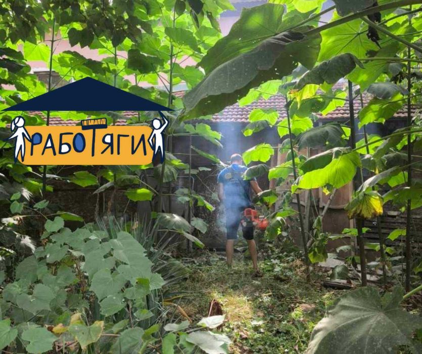 Пълно разчистване на дворове - косене, рязане, услуги с багер