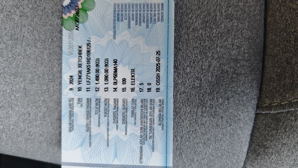 Leapmotor t03  403km 2024