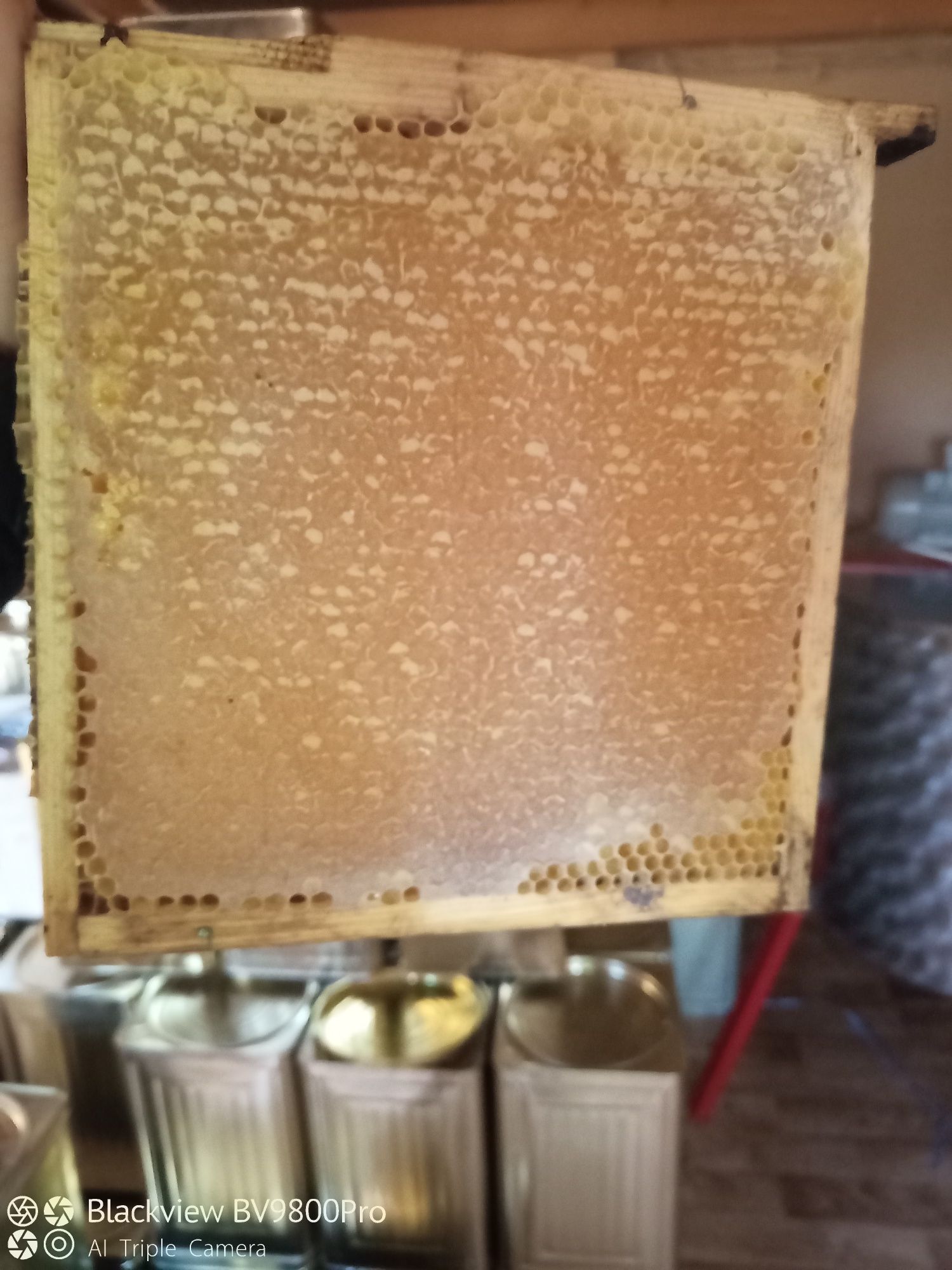 Пчелен прашец. Пчелен мед. Пчелна пита. Перга