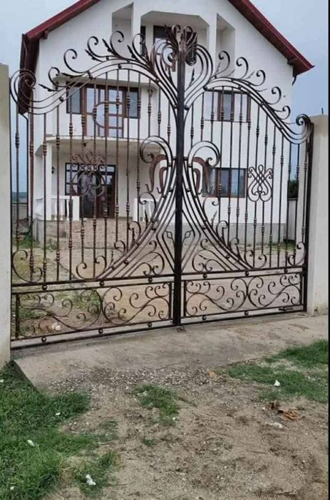 Porți garduri din fier forjat