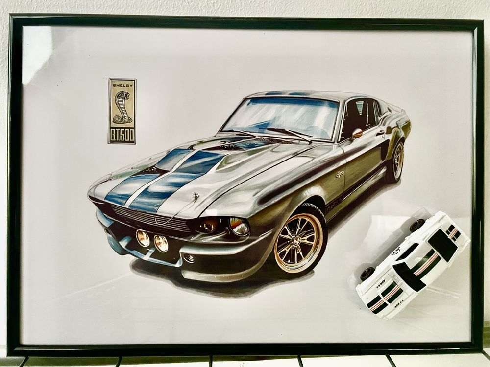 Tablou Hotwheels Shelby GT