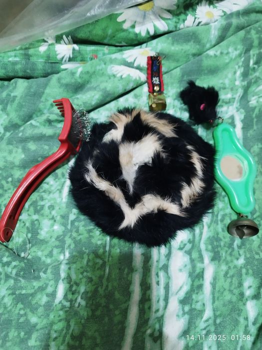 Набор кошачий + Корм Сухой Pro plan