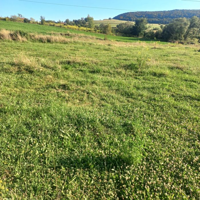 Vând 2 terenuri intravilane în Albești, str. Podului.