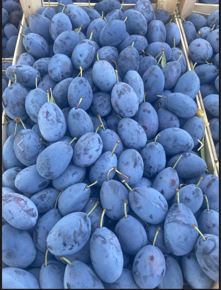 Prune de tuica/palinca