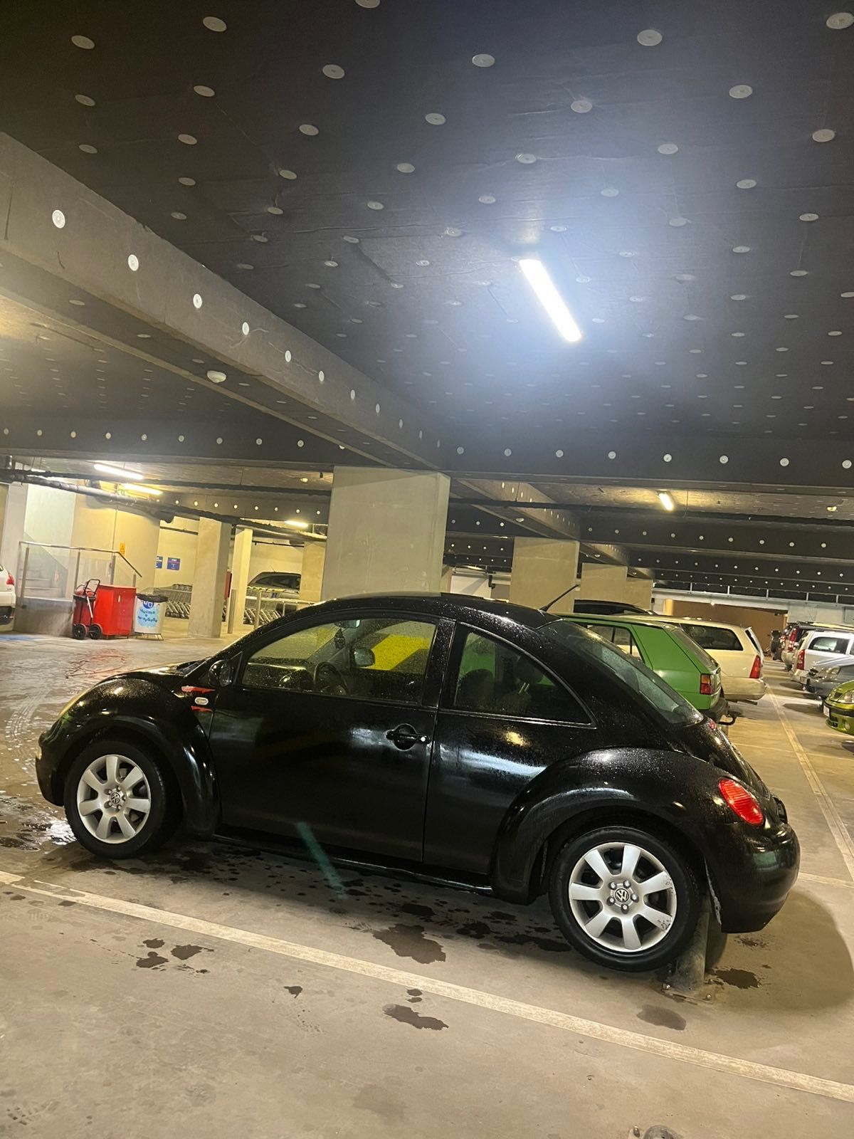 Volkswagen Beetle