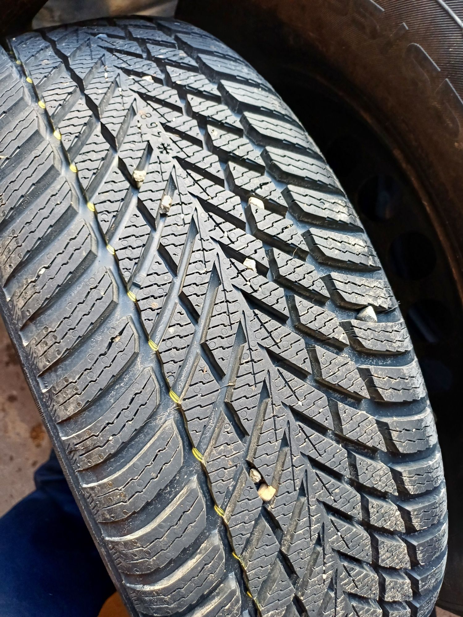 4+1 anvelope(cu tot cu jante Golf 4) iarna noi Nokian Snowproof 2