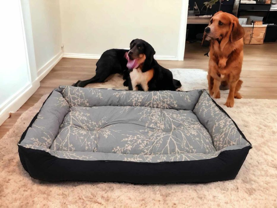 Легла за дом.любимци