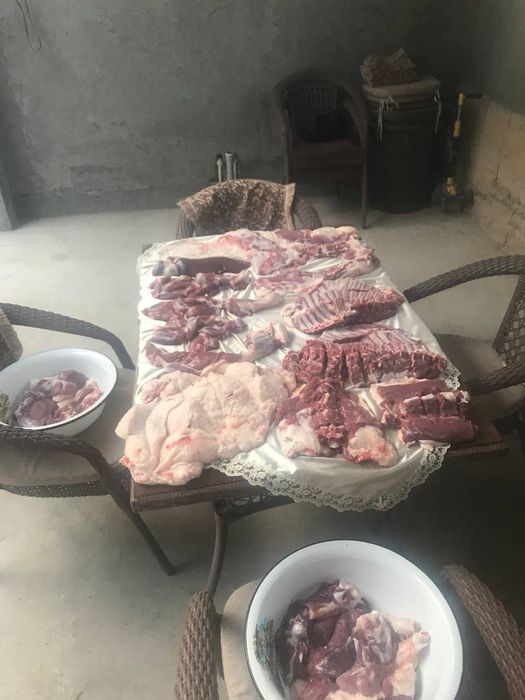 Qassob servis услуги мясника