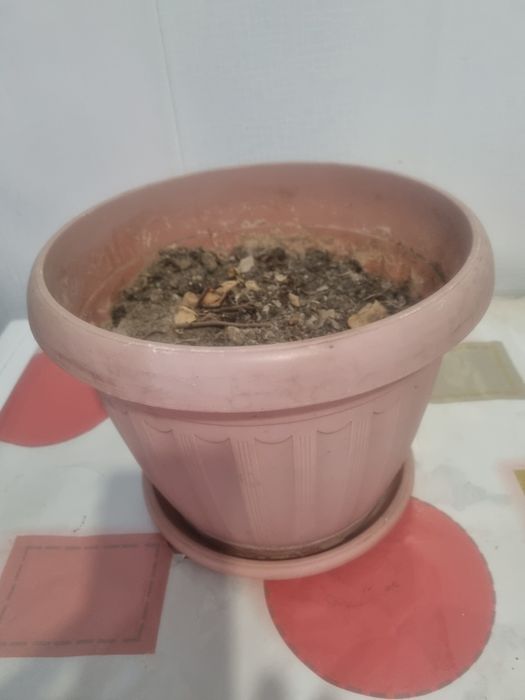 Продам горшок для цветов