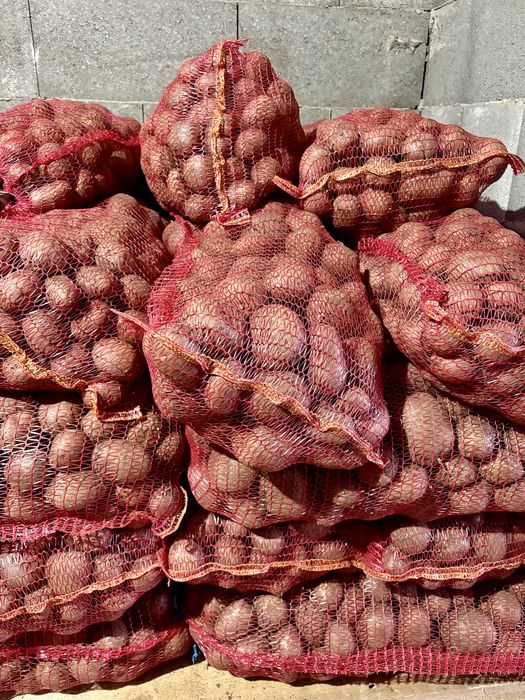 Vand cartofi rosii de mancare