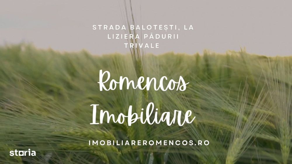 Teren strada Balotesti, la poalele padurii Trivale