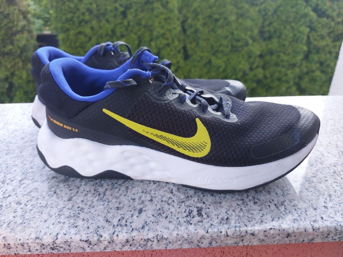 Nike Renew Ride 3