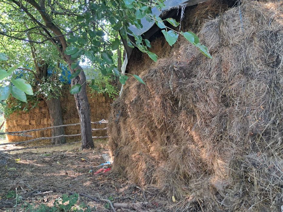 Disponibil baloti paie fân si lucerna