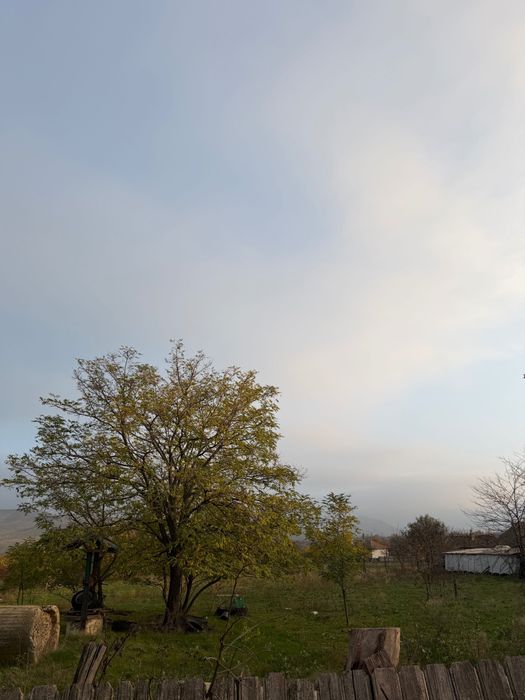 Vand teren intravilan 4877 mp Cerna-Tulcea