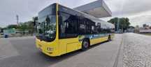 Vand Autobuz MAN