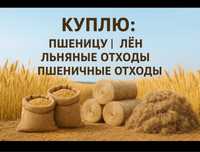 Принимая пшеницу лён