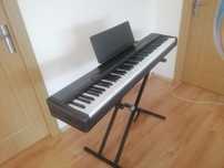 CASIO CDP M-100 pian 88 GHS clape grele orga