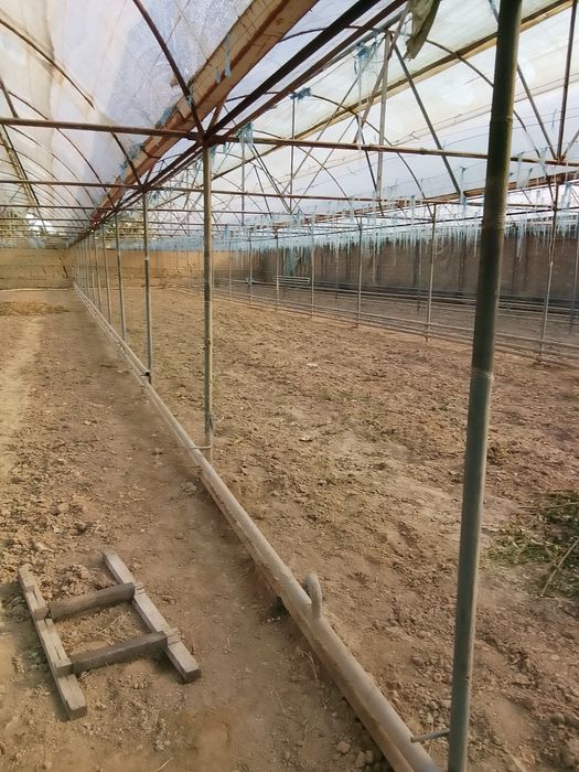 Теплица сотилади теплица сотилади теплица сотилади теплица сотилади