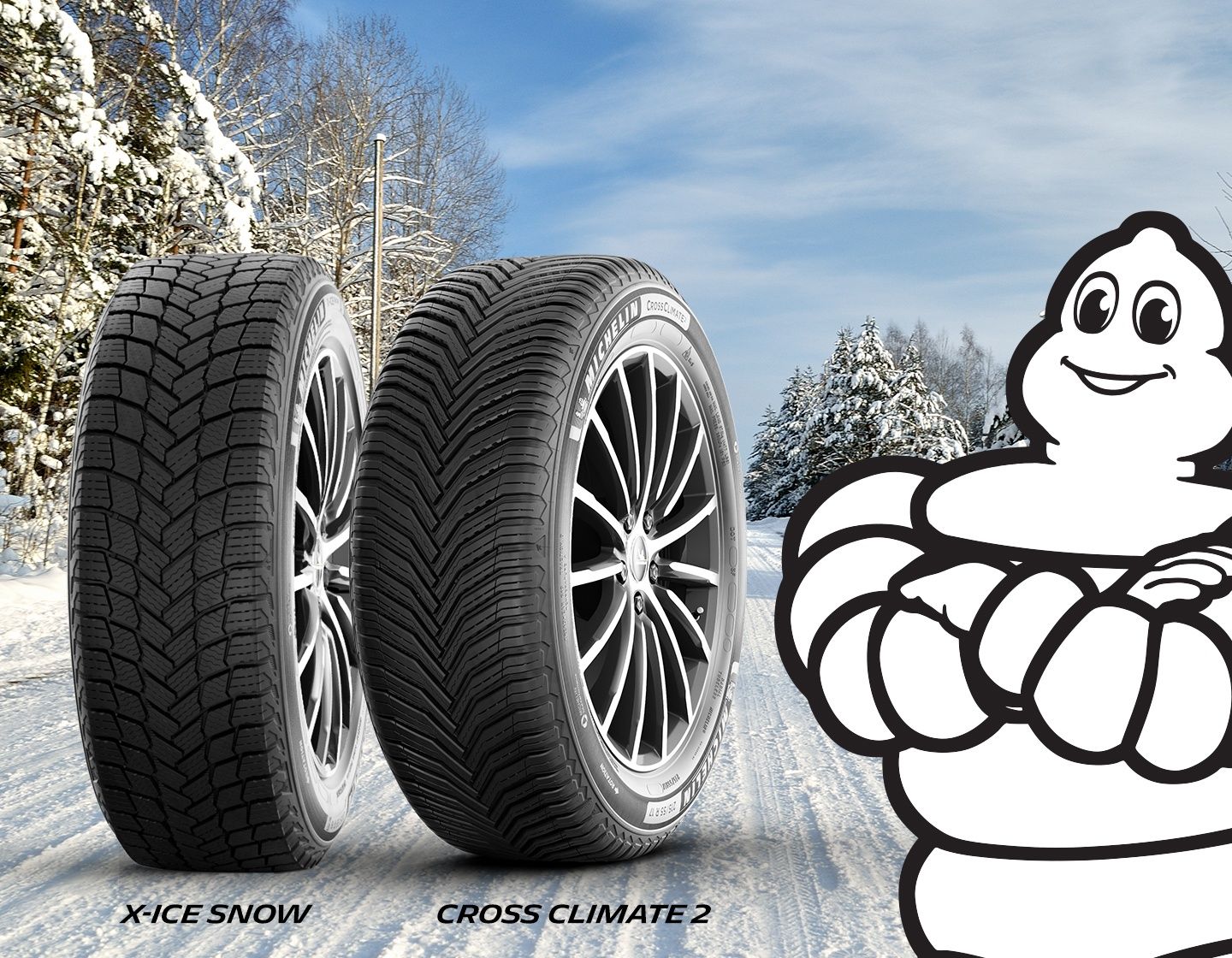 Зимние Michelin Alpin Michelin X Ice Snow от 200$ до 600$