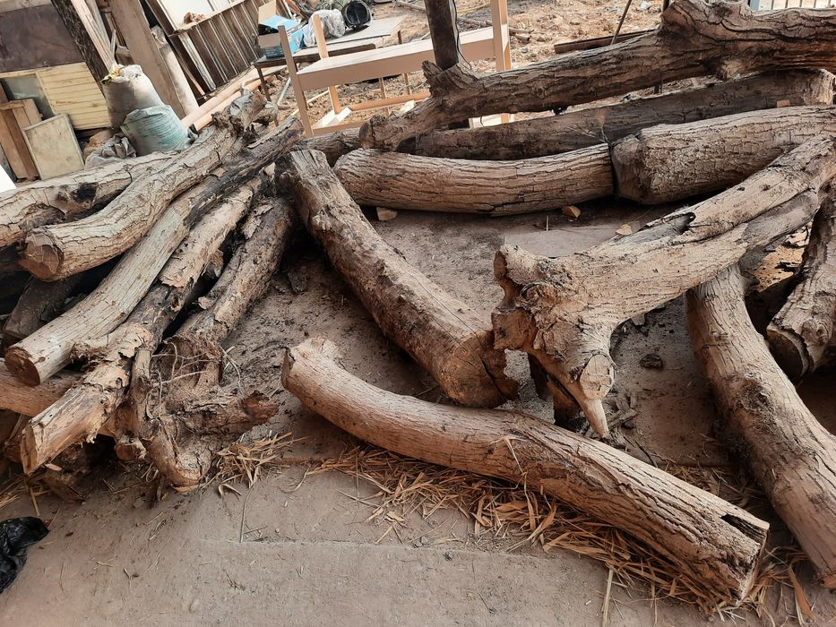 Ёнгок дарахтиники.срочно сотилади