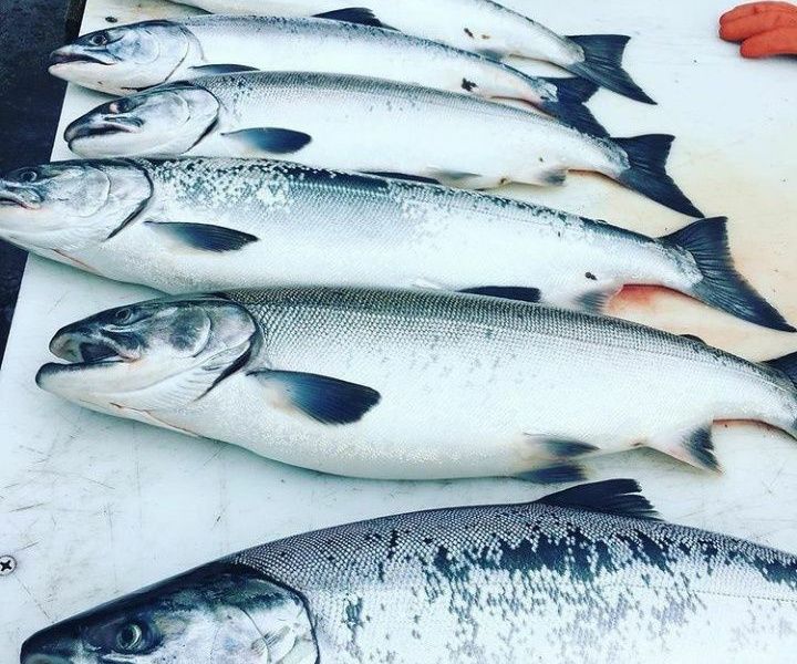 Рыба. Икра. Крeветки. Морепродукты
В наличии более  50-ти видов рыбы: