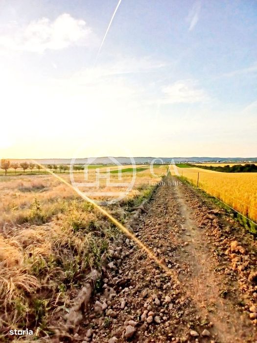 Teren intravilan de vanzare in Alparea, Bihor