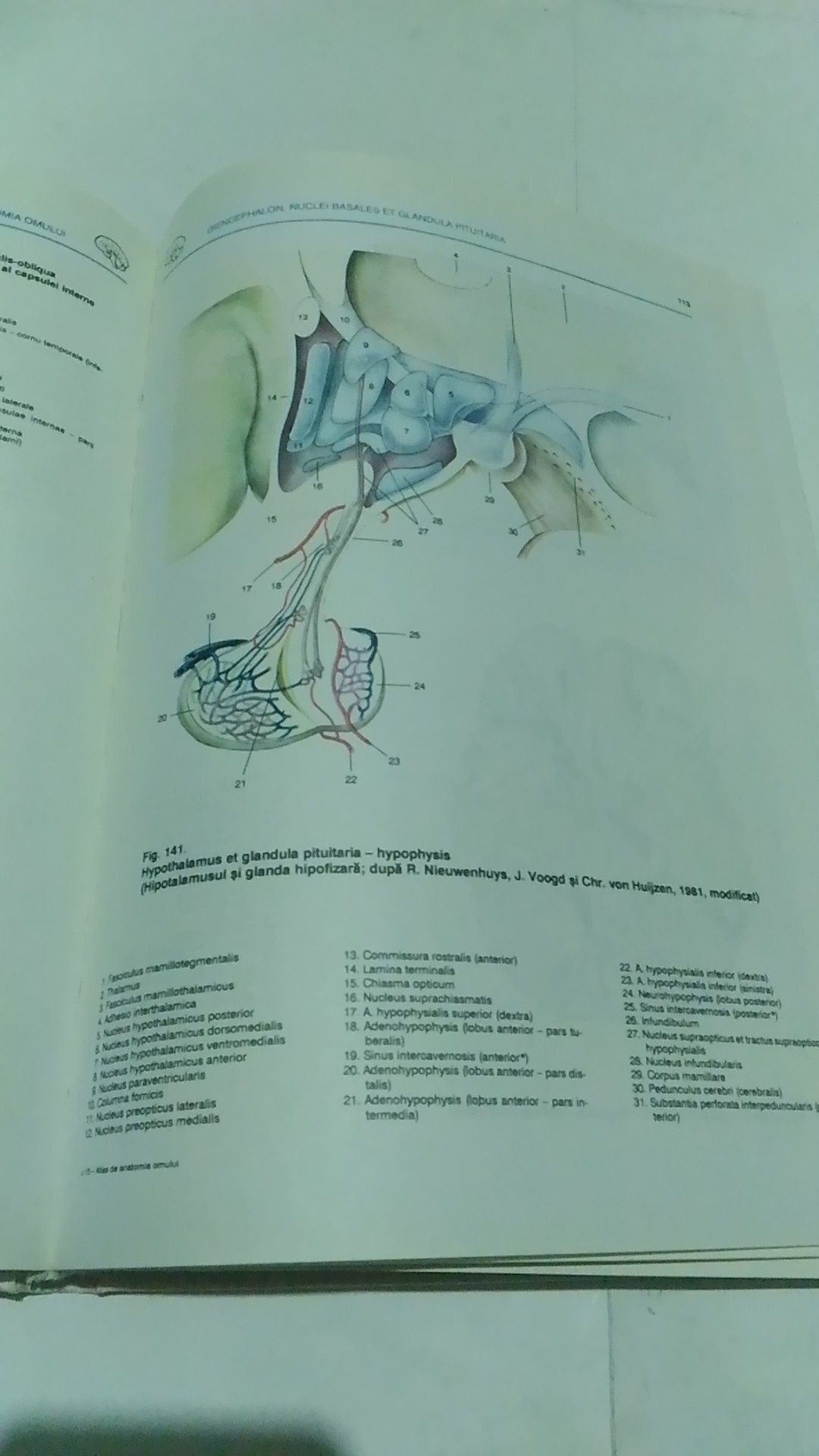 Atlas de anatomia omului- Viorel Ranga, Radu Dimitriu