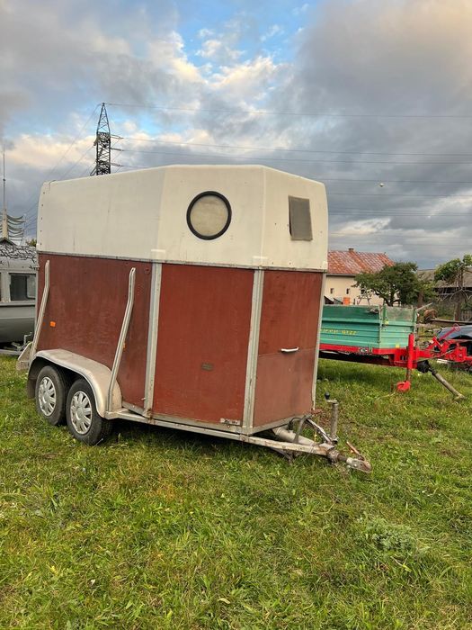 Remorca de cai/remorca transport animale vand